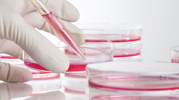 အရေပြားပြန်လည်နုပျိုမှုအတွက် ပင်မဆဲလ်များ